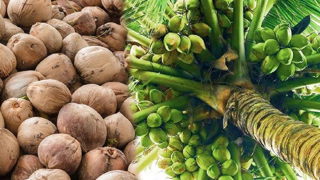 கவலைப்பட வேண்டாம்... என்ன செய்யணும்னு நாங்க சொல்றோம்!!!