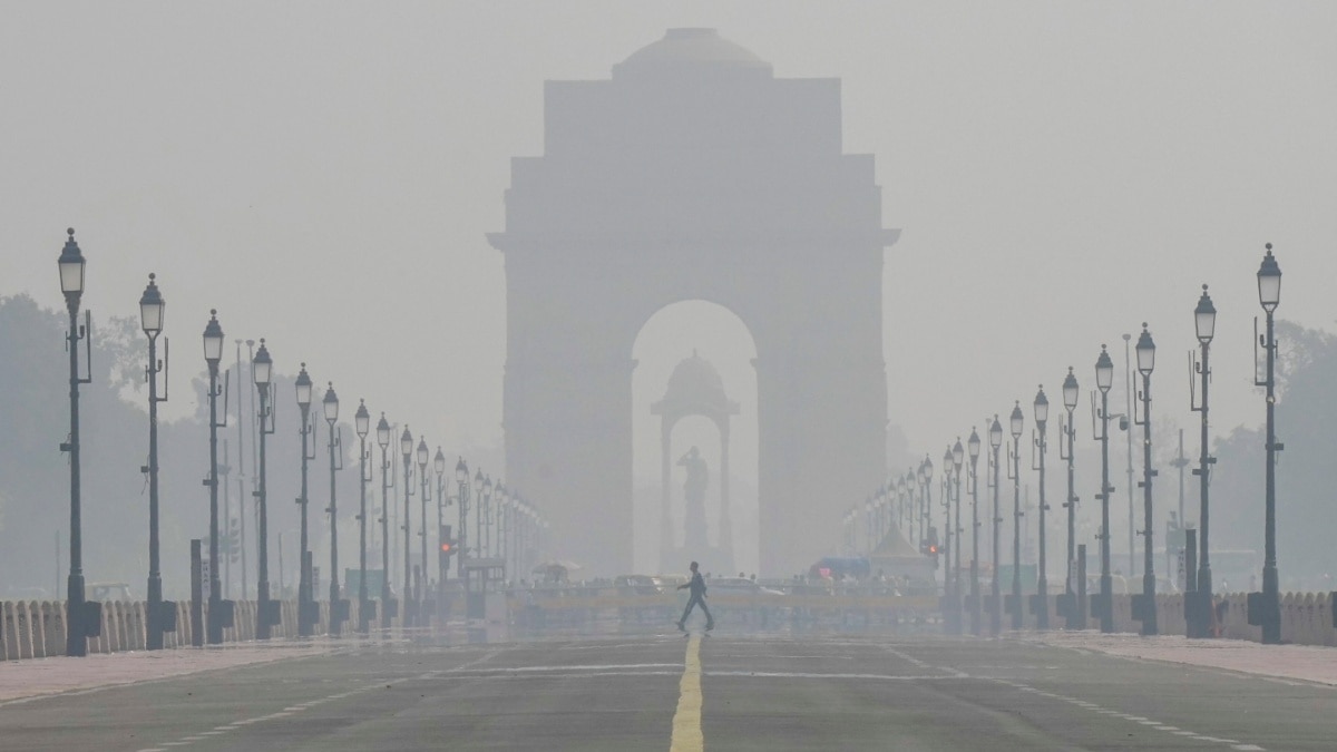 Delhi Weather Likely To Remain Pleasant On Day Of Assembly Elections. Check IMD Forecast