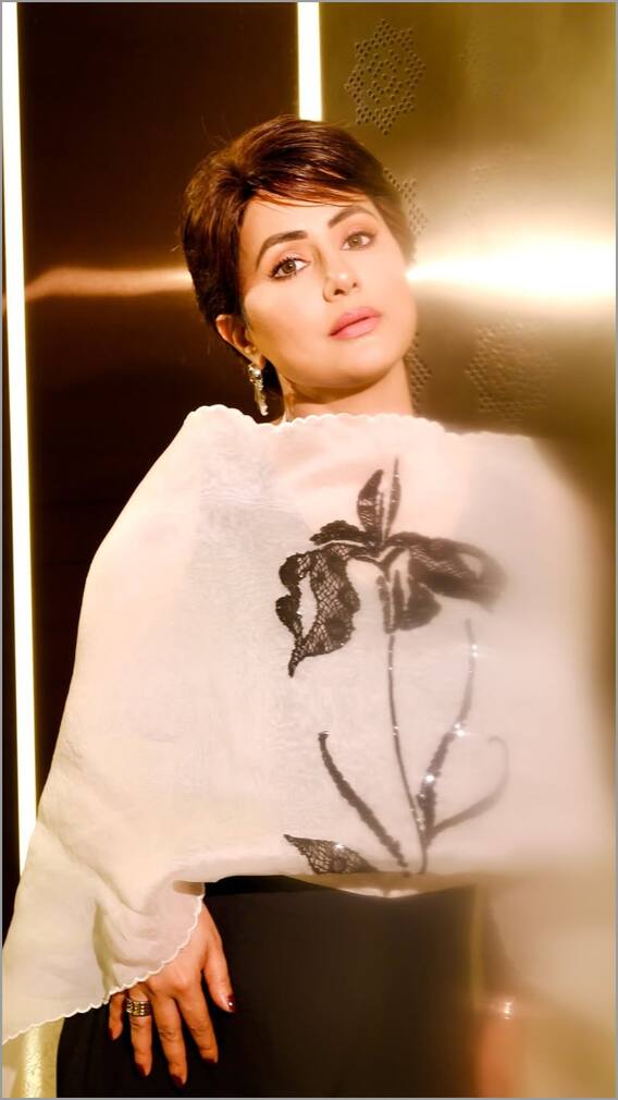 हिना खान ने सोशल मीडिया पर डाली फोटो, यूजर्स कह रहे- क्वीन