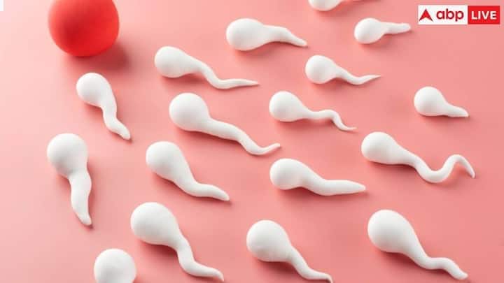 આ અંગે એક રિસર્ચમાં ચોંકાવનારો ખુલાસો પણ થયો છે. 'હ્યુમન રિપ્રોડક્શન અપડેટ' જર્નલના રિપોર્ટમાં કહેવામાં આવ્યું છે કે છેલ્લા 45 વર્ષમાં પુરુષોના સ્પર્મ કાઉન્ટમાં અડધાથી વધુનો ઘટાડો થયો છે.