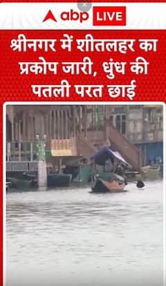 Breaking News: Srinagar Experiences Ongoing Cold Wave, Thin Layer of Fog Covers the Region | ABP NEWS