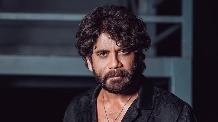 नागार्जुननं केवळ चित्रपटांमधूनच नव्हे तर रिअल इस्टेट, सिनेमा आणि स्पोर्ट्स फ्रँचायझीसह इतर अनेक व्यवसायांमध्ये गुंतवणूक करून ही प्रचंड संपत्ती कमावली आहे. नागार्जुन 'अन्नपूर्णा स्टुडिओ'चे मालक आहेत, जे टॉलीवूडमधील सर्वात मोठ्या प्रॉडक्शन हाऊस आणि स्टुडिओपैकी एक आहे. त्यांच्याकडे एन३ रिअॅल्टी एंटरप्रायझेस ही रिअल इस्टेट आणि बांधकाम कंपनी देखील आहे.