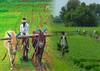 Punjab Farmers: ਕੇਂਦਰ ਸਰਕਾਰ ਦਾ ਕਿਸਾਨਾਂ ਲਈ ਵੱਡਾ ਐਲਾਨ! MSP ਦੇ ਨਾਲ ਹੀ ਹੋਏਗੀ ਫਸਲੀ ਵਿਭਿੰਨਤਾ, ਕਿਸਾਨਾਂ ਦੀ ਬਦਲ ਸਕਦੀ ਤਕਦੀਰ