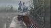 UP Farmer Narrowly Escapes As Tiger Emerges From Bush In Pilibhit — WATCH