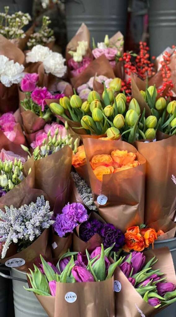 इस फूल की खेती कर देगी आपको मालामाल