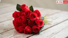 Rose Day 2025: वैलेंटाइंस डे के गुलदस्ते में कैसे जुड़ा रोज डे, किस वजह से जुड़ा कनेक्शन?