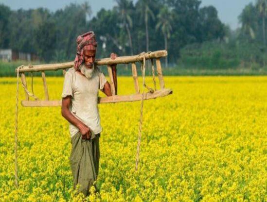 योजनेंतर्गत, जमीनधारक शेतकरी कुटुंबाच्या (ज्यांच्या नावावर शेतजमीन आहे) आधार लिंक बँक खात्यात दर चार महिन्यांनी 2000 रुपयांच्या तीन समान हप्त्यांमध्ये 6000 रुपये वार्षिक पेमेंट केले जाते.