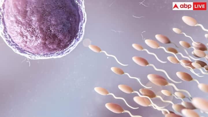નિષ્ણાતો માને છે કે આગામી સમયમાં તેમાં વધુ ઘટાડો થઈ શકે છે જે ચિંતાનો વિષય છે. આના માટે એક નહીં પરંતુ ઘણા કારણો હોઈ શકે છે. આ માટે કેટલીક બીમારીઓ પણ જવાબદાર હોઈ શકે છે. આવી સ્થિતિમાં, ચાલો જાણીએ કે કયા રોગના કારણે શુક્રાણુઓની સંખ્યા ઘટી રહી છે.