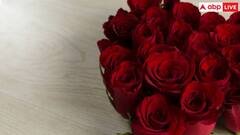 Rose Day 2025: वैलेंटाइंस डे के गुलदस्ते में कैसे जुड़ा रोज डे, किस वजह से जुड़ा कनेक्शन?