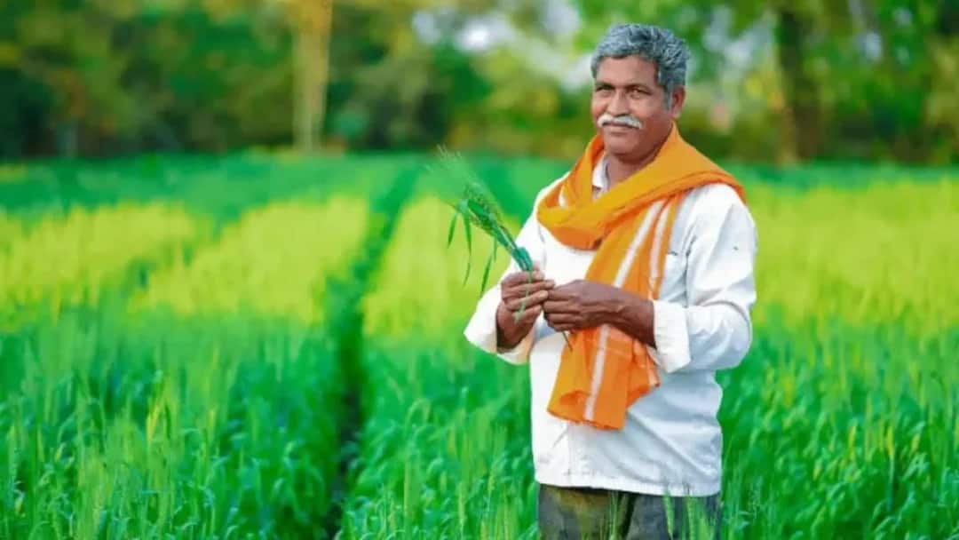 PM Kisan 19th Installment: Farmers to Receive Funds on February 24 Check Details PM Kisan : రైతులకు గుడ్ న్యూస్.. పీఎం కిసాన్ డబ్బులు వచ్చేది ఆరోజే.. ఆ లోపు ఈ పని చేసేయండి