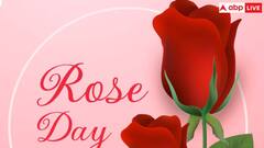 Rose Day 2025: वैलेंटाइंस डे के गुलदस्ते में कैसे जुड़ा रोज डे, किस वजह से जुड़ा कनेक्शन?