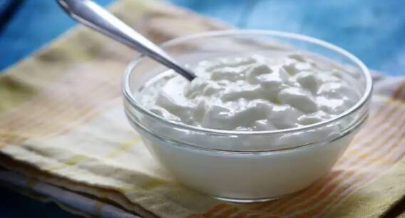 ਦਹੀਂ ਦੇ ਨਾਲ ਖਾਣੀਆਂ ਸ਼ੁਰੂ ਕਰ ਦਿਓ ਇਹ 3 ਚੀਜਾਂ ਤਾਂ ਨੇੜੇ-ਤੇੜੇ ਵੀ ਨਹੀਂ ਆਉਣਗੀਆਂ ਬਿਮਾਰੀਆਂ, ਜਾਣੋ ਕੀ ਹੈ ਇਹ ‘ਗਿੱਦੜਸਿੰਗੀ’