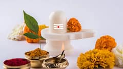 Gajkeshari Rajyog: মহাশিবরাত্রির আগে রাশিচক্রে গজকেশরী রাজযোগ, অর্থ-প্রতিপত্তিতে জীবন ভাসবে এই রাশিদের