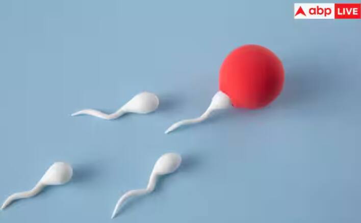 ਜਦੋਂ ਮਰਦਾਂ ਦੇ ਸਰੀਰ ਵਿੱਚ ਸੈਕਸ ਹਾਰਮੋਨ ਟੈਸਟੋਸਟੇਰੋਨ ਅਸੰਤੁਲਿਤ ਹੋ ਜਾਂਦਾ ਹੈ, ਤਾਂ ਸ਼ੁਕਰਾਣੂਆਂ ਦੀ ਗਿਣਤੀ ਘੱਟ ਜਾਂਦੀ ਹੈ।