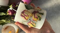 Rose Day 2025: 8 Eco-Friendly Gifting Ideas To Celebrate The Day