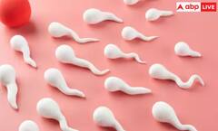 ਮਰਦਾਂ 'ਚ ਇਨ੍ਹਾਂ ਪੰਜ ਚੀਜ਼ਾਂ ਨਾਲ ਘੱਟ ਹੋ ਰਿਹਾ Sperm Count, ਕਿਤੇ ਤੁਸੀਂ ਵੀ ਤਾਂ ਨਹੀਂ ਕਰ ਰਹੇ ਆਹ ਗਲਤੀ?