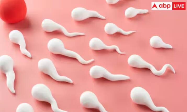 ਮਾਹਿਰਾਂ ਦਾ ਮੰਨਣਾ ਹੈ ਕਿ ਆਉਣ ਵਾਲੇ ਸਮੇਂ ਵਿੱਚ ਇਸ ਵਿੱਚ ਹੋਰ ਵੀ ਗਿਰਾਵਟ ਆ ਸਕਦੀ ਹੈ, ਜੋ ਕਿ ਚਿੰਤਾ ਦਾ ਵਿਸ਼ਾ ਹੈ। ਇਸ ਦੇ ਇੱਕ ਨਹੀਂ ਸਗੋਂ ਕਈ ਕਾਰਨ ਹੋ ਸਕਦੇ ਹਨ। ਕੁਝ ਬਿਮਾਰੀਆਂ ਵੀ ਇਸ ਲਈ ਜ਼ਿੰਮੇਵਾਰ ਹੋ ਸਕਦੀਆਂ ਹਨ। ਅਜਿਹੀ ਸਥਿਤੀ ਵਿੱਚ, ਆਓ ਜਾਣਦੇ ਹਾਂ ਕਿਸ ਬਿਮਾਰੀ ਕਾਰਨ ਸ਼ੁਕਰਾਣੂਆਂ ਦੀ ਗਿਣਤੀ ਘੱਟ ਰਹੀ ਹੈ।