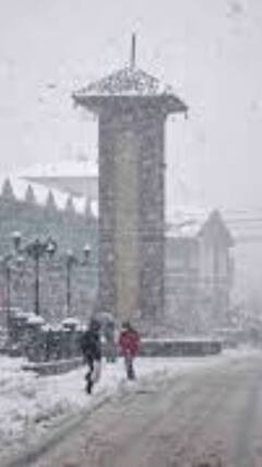 Srinagar News : 'श्रीनगर में शीतलहर जारीधुंध की हलकी परत छाई हुई है' | ABP News