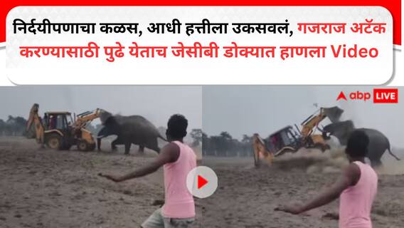 निर्दयीपणाचा कळस, आधी हत्तीला उकसवलं, गजराज अटॅक  करण्यासाठी पुढे येताच जेसीबी डोक्यात हाणला Video