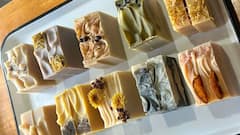 Rose Day 2025: 8 Eco-Friendly Gifting Ideas To Celebrate The Day