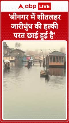Cold Wave Grips Srinagar, Light Fog Blankets the City | ABP News