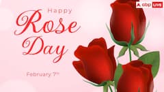 Happy Rose Day 2025 Wishes in Hindi: अपने लव्ड वन्स को रोज डे पर इस खास अंदाज में भेजें शुभकामनाएं संदेश