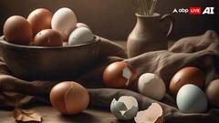 अमेरिका में एक लाख अंडे हो गई चोरी... ये हैं दिमाग घुमाने वाली कुछ ऐसी ही अजीब चोरियां