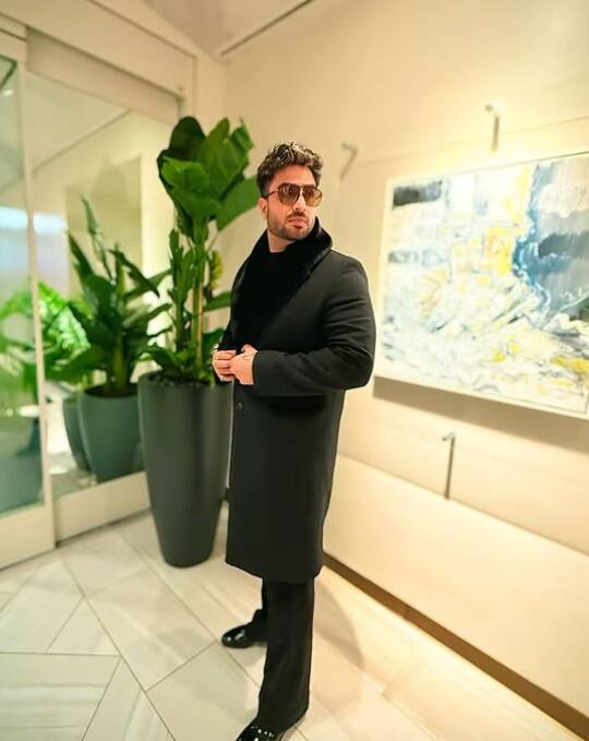 अली टीवी के सबसे पॉपुलर शो नागिन के तीसरे सीजन में भी नजर आए थे.