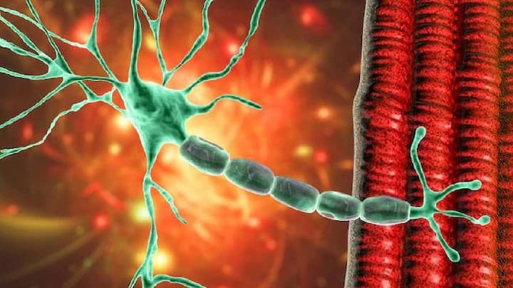 कर्वेनगरमधील वादरवस्तीत राहणाऱ्या 63 वर्षीय पुरुषाचा मृत्यू झाला असल्याची माहिती समोर आली आहे.