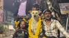 Birthday Hoardings, Car Parade: MP Youths' Unique Celebration For Street Dog ‘Ludo Bhai’
