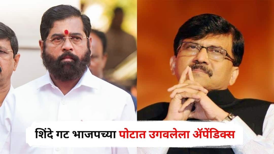 Sanjay Raut criticism on Operation Tiger says Shiv Sena Eknath Shinde Faction is an appendix growing in BJP stomach it will be cut off at any time Maharashtra marathi News Sanjay Raut : शिंदे गट भाजपच्या पोटात उगवलेला ॲपेंडिक्स, कधीही कापला जाईल; ऑपरेशन टायगरवरून संजय राऊतांचा खोचक टोला