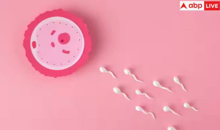 ਮੋਟਾਪਾ ਅਤੇ ਸਹੀ ਖਾਣਪੀਣ ਵੀ ਇਸ ਦਾ ਇੱਕ ਕਾਰਨ ਹੈ। ਜ਼ਿਆਦਾ ਸਮੋਕਿੰਗ ਅਤੇ ਸ਼ਰਾਬ ਪੀਣ ਨਾਲ ਵੀ ਫਰਟੀਲਿਟੀ ਦੀ ਸਮੱਸਿਆ ਹੁੰਦੀ ਹੈ।