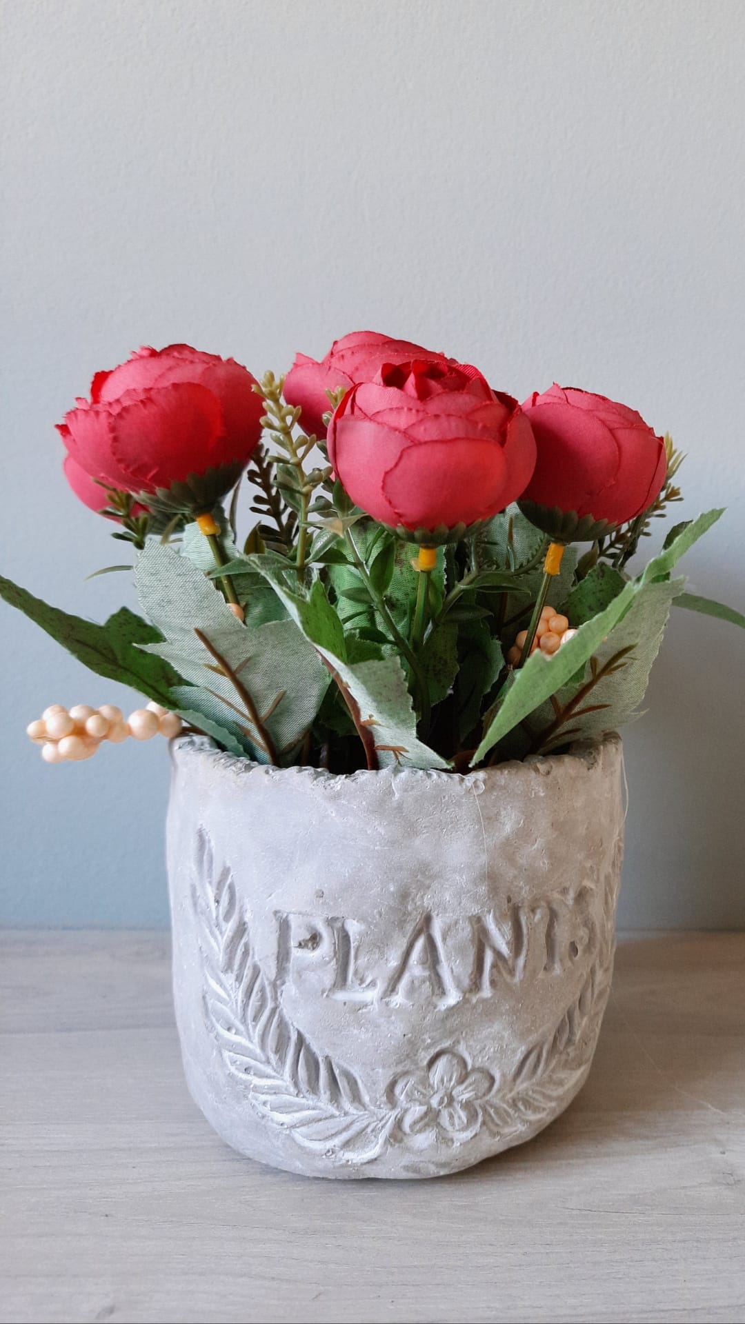Rose Day 2025: 9 Expert Tips To Keep Your Roses Fresh And Blooming Longer