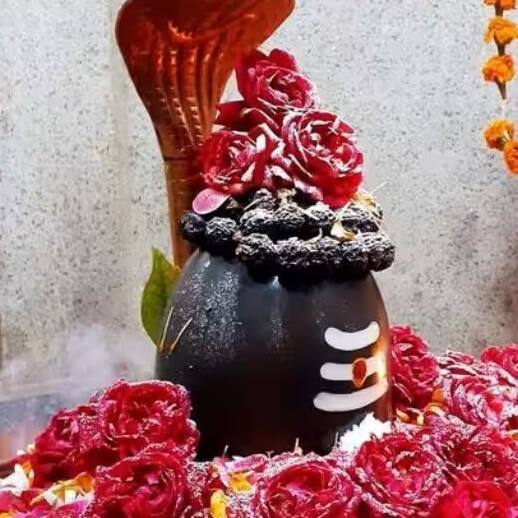 26 ફેબ્રુઆરી 2025ના રોજ મહાશિવરાત્રીના દિવસે શ્રવણ નક્ષત્રનો સંયોગ છે. આ દિવસે શ્રવણ નક્ષત્ર સવારથી સાંજે 5:08 વાગ્યા સુધી પ્રભાવી રહેશે. આ દિવસે બુધ, શનિ અને સૂર્ય કુંભ રાશિમાં રહેશે. આવી સ્થિતિમાં બુધાદિત્ય યોગ અને ત્રિગ્રહી યોગ રચાઈ રહ્યા છે. જે ઘણી રાશિઓ માટે શુભ સાબિત થશે.