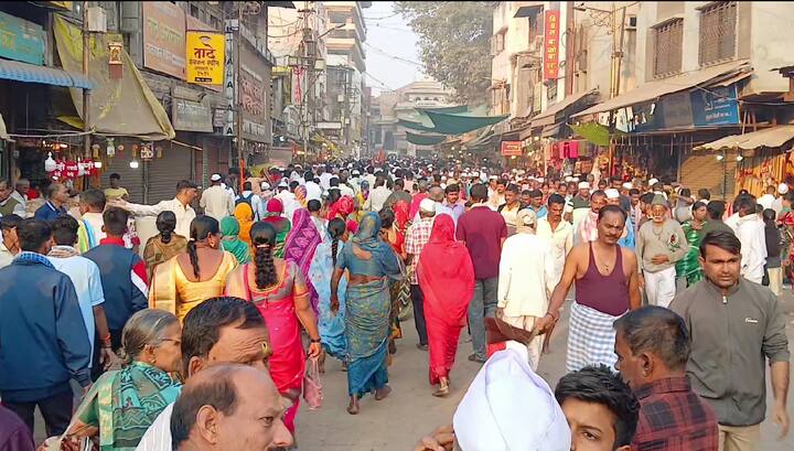 या एकादशीसाठी लाखो भाविक खेडोपाड्यातून गावोगावातून पांडुरंगाच्या दर्शनाला आले आहेत .