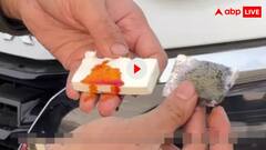 ब्रेड पकौड़े से निकले पनीर की शख्स ने की जांच! केमिकल डालते ही सड़ गया नकली पनीर, होश उड़ा देगा वीडियो