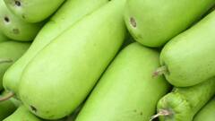 লাউয়ের খোসা ভাজা খেতে ভালবাসেন? এই সবজির খোসা খাওয়া কতটা উপকারী?