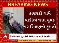 Gir Somnath Lion Attack : ઉનામાં વાડીએ જતા યુવક પર સિંહણે કરી દીધો હુમલો