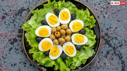eating eggs supports heart health reduces risk of premature death detail in tamil Egg Benefits: மரணத்தைக் கூட தள்ளிப்போடும் முட்டை..! இதய ஆரோக்கியத்தின் கார்டியன், இவ்வளவு நன்மைகளா?