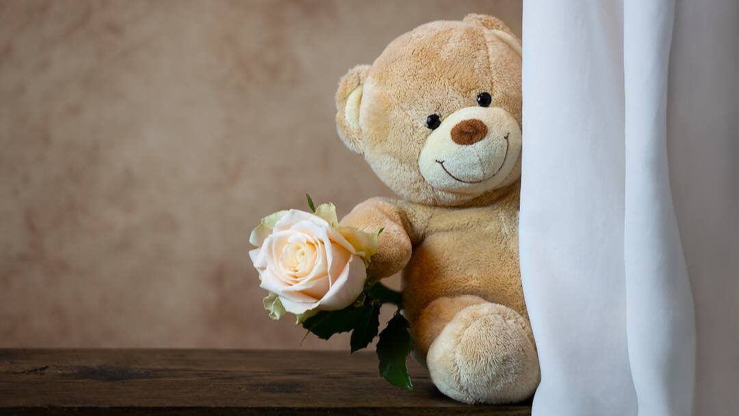 Valentine's Week 2025 When Is Teddy Day Know History Significance And All About This Day Valentine's Week 2025: When Is Teddy Day? Know History, Significance, And All About This Day