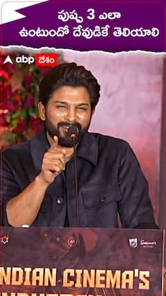 పుష్ప 3 ఎలా ఉంటుందో దేవుడికే తెలియాలి