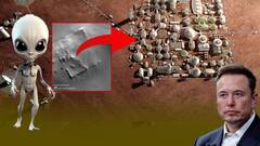 Elon Musk MARS Square Structure | మార్స్ మీదకు ఆస్ట్రోనాట్స్ ను పంపాలనంటున్న మస్క్ | ABP Desam