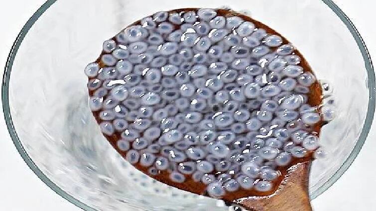 To reduce bad cholesterol levels, consume takmaria in this way, the effect will be visible quickly Health Tips: બેડ કોલેસ્ટ્રોલનું લેવલ ઘટાડવા માટે તકમરિયાનું આ રીતે કરો સેવન, ઝડપથી દેખાશે અસર