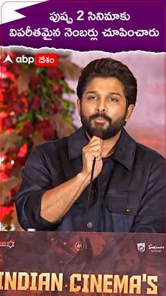 పుష్ప 2 సినిమాకు విపరీతమైన నెంబర్లు చూపించారు