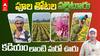 Baduguvani Lanka Nurseries | గోదావరి తీరంలో ఈ ఊరి పూలతోటల అందాలు చూశారా | ABP Desam