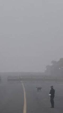 श्रीनगर में शीतलहर जारी , धुंध की हल्की परत छाई | ABP SHORTS