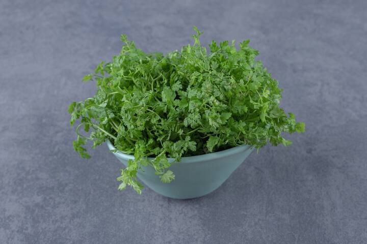 કોથમીર એક કુદરતી ડિટોક્સિફાયર છે, જે શરીરમાંથી ઝેરી તત્વોને દૂર કરે છે. તે લોહીને શુદ્ધ કરે છે અને થાઈરોઈડ સંબંધિત સમસ્યાઓને દૂર કરવામાં મદદરૂપ છે. કોથમીરનું ડિટોક્સ પાણી શરીરને શુદ્ધ કરીને ચયાપચયને સુધારવામાં મદદ કરે છે.