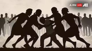 क्रिकेट के दौरान लगाया 'पाकिस्तान जिंदाबाद' का नारा, भीड़ ने पीट-पीटकर मार डाला; 15 अरेस्ट