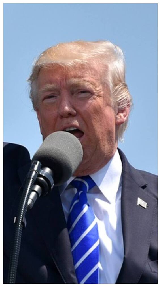 राष्ट्रपति बनने से पहले डोनाल्ड ट्रंप कितनी संपत्ति के मालिक थे