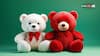 Teddy Day 2025: किस रंग के टेडी का क्या होता है मतलब? पार्टनर को गिफ्ट करने से पहले जानें यह बात